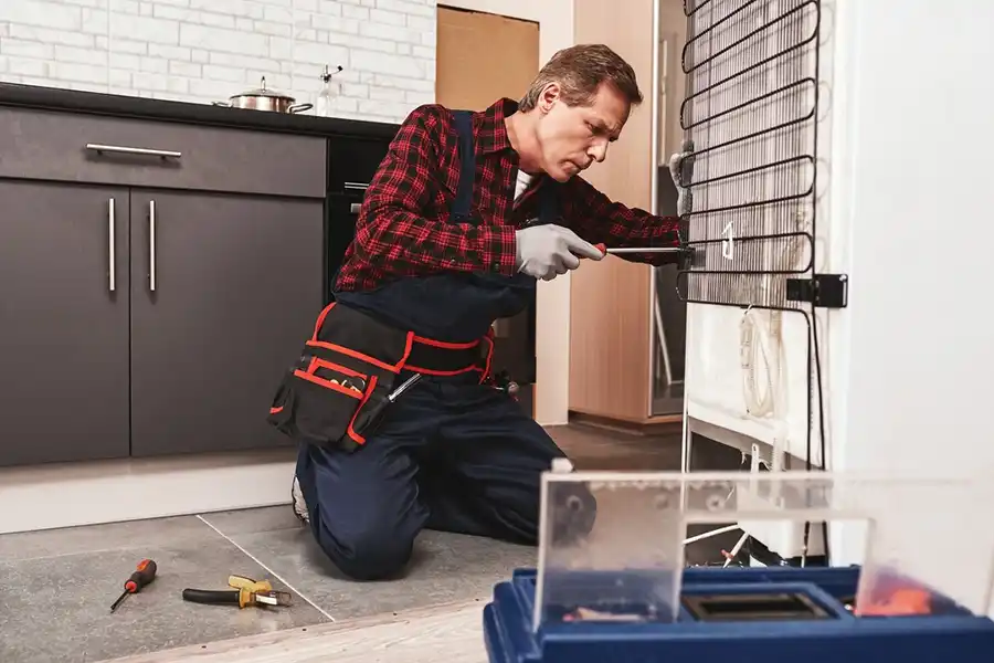 How Fridge Repair Solves Strange Noises and Odors Palm Bay, FL How Fridge Repair Solves Strange Noises and Odors Palm Bay, FL